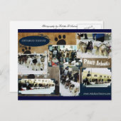 Iditarodの郵便はがき ポストカード (正面/裏面)