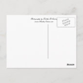 Iditarodの郵便はがき ポストカード (裏面)