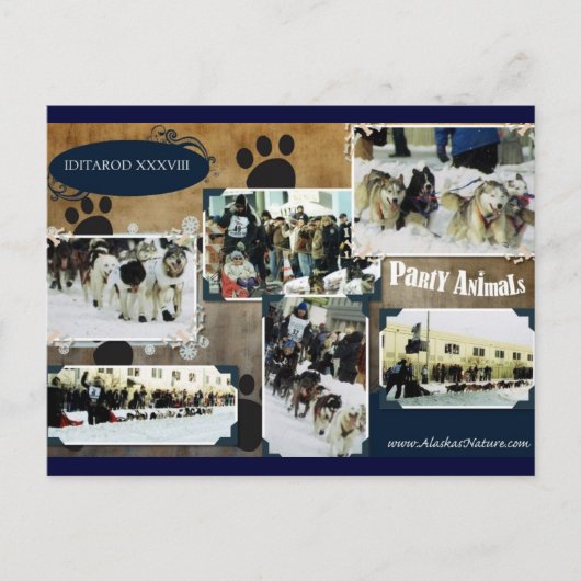 Iditarodの郵便はがき ポストカード (正面)