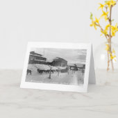 IditarodアラスカBirdseye 1914年 カード (黄色い花)