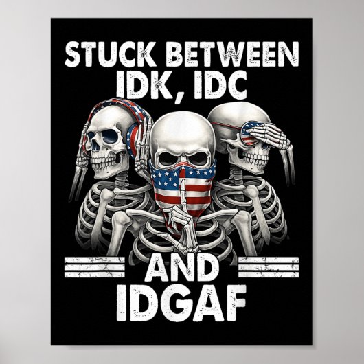 IdkとIdcとIdgafの間で困ったスカル ポスター (正面)
