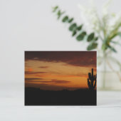 IDKPサンセットポストカード ポストカード (スタンド正面)
