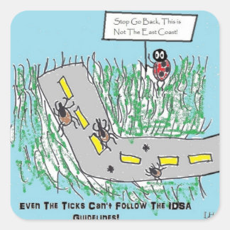 IDSAライム病ガイドラインを非難するティックユーモア スクエアシール