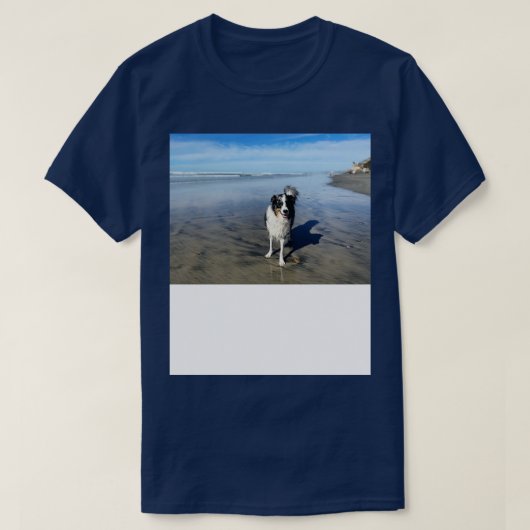 ieサンディエゴTシャツ1 Tシャツ (デザイン正面)