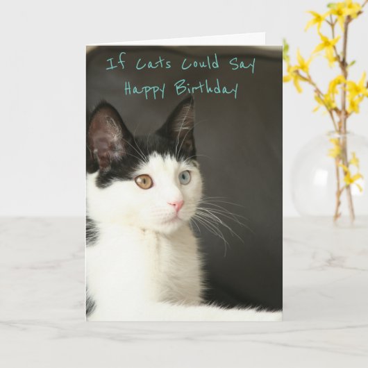 If Cats Could Say Happy Birthday カード (黄色い花)