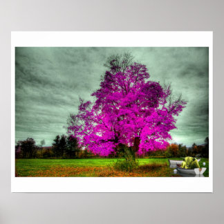 If God Played Dice with the Universe Poster ポスター