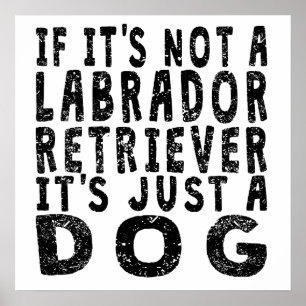 If It's Not A Labrador Retriever ポスター