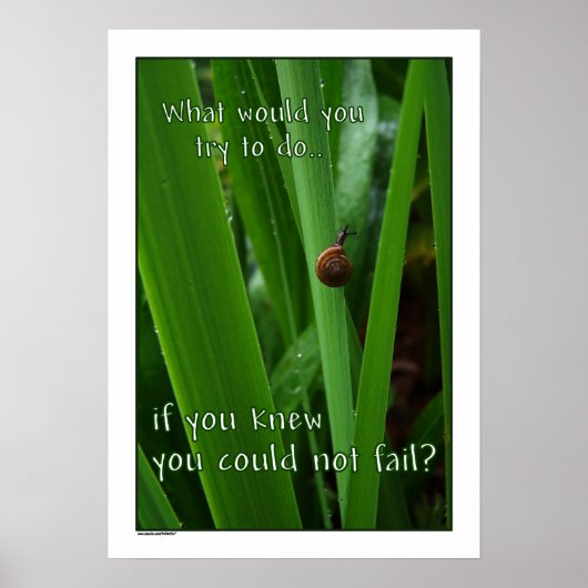 If You Couldn't Fail Poster print ポスター (正面)