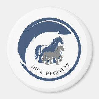 IGEA磁石 マグネット