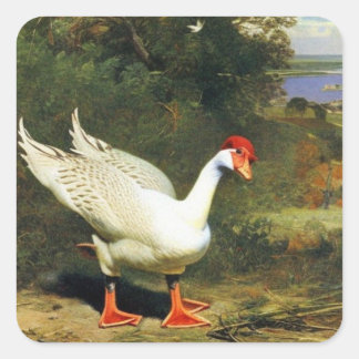 IGFステッカー スクエアシール