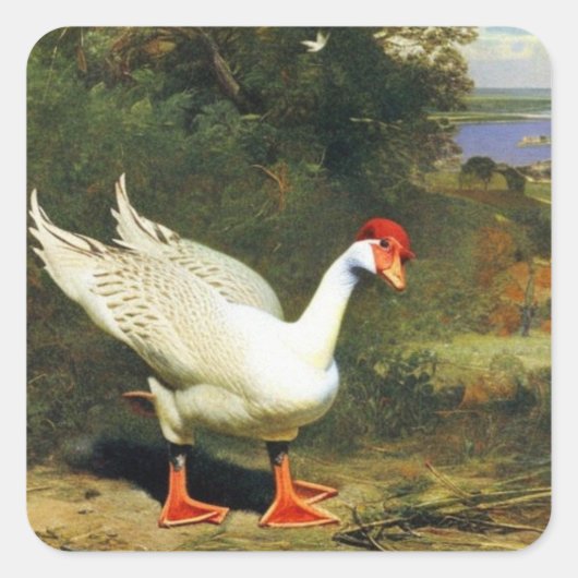 IGFステッカー スクエアシール (正面)