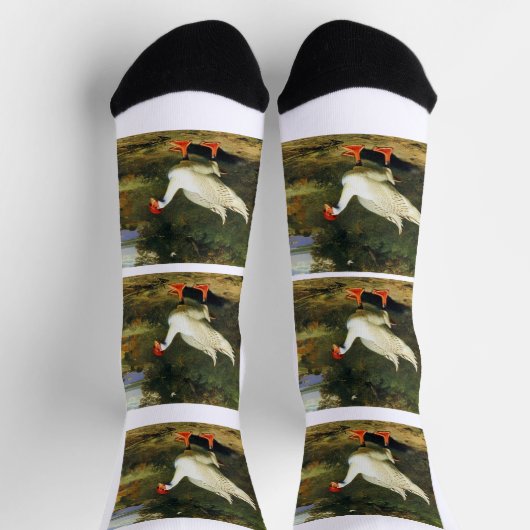 IGFロゴソックス ソックス (上部)