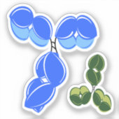 IgG1またはIgG4抗体、青と緑 シール (正面)