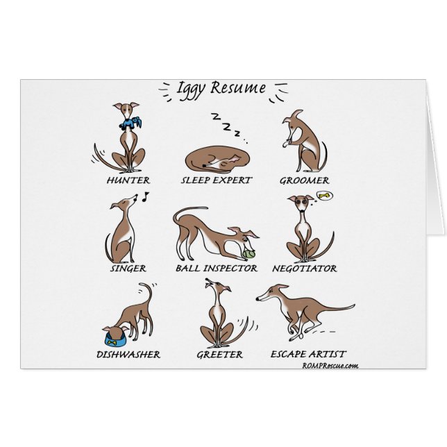 Iggyの救助 (正面横)