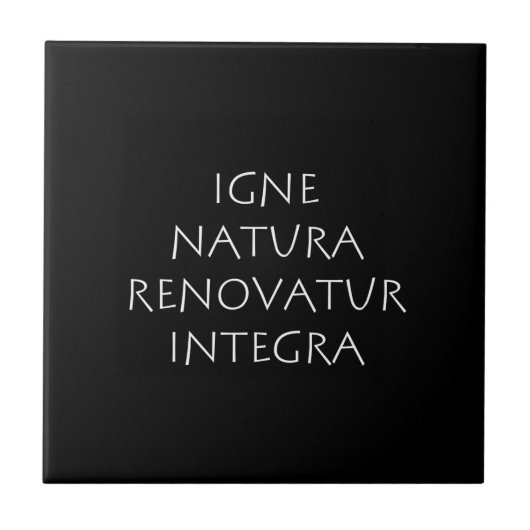 Igne natura renovatur integra タイル (正面)