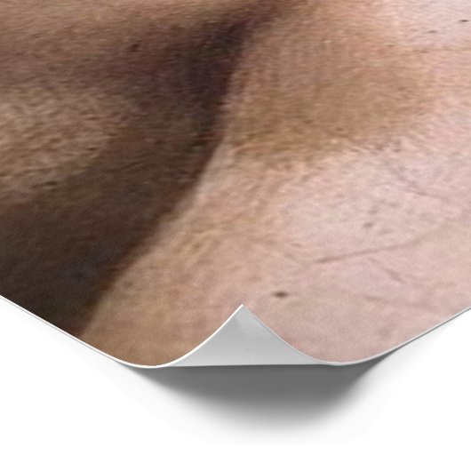 Ignudoポスター ポスター (角)