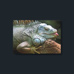 Iguanaキャンバス印刷を閉じる キャンバスプリント<br><div class="desc">他の動物の写真アイテムについては、私の店を参照する。</div>