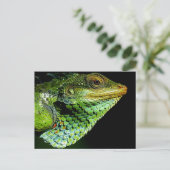 Iguanaクローズアップ写真はがき ポストカード (スタンド正面)