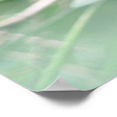 Iguana ポスター (角)