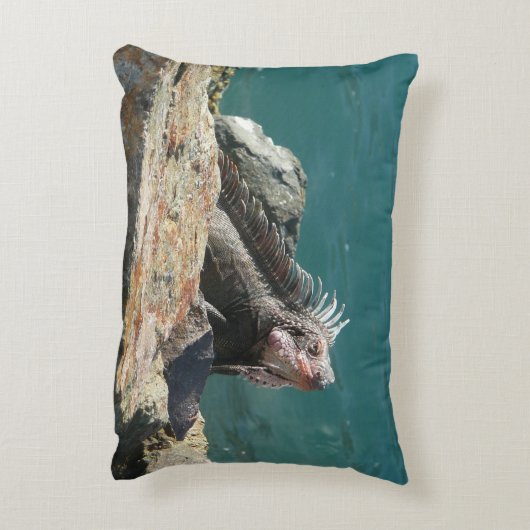 Iguana at St. Thomas アクセントクッション (裏面(縦))