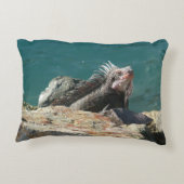 Iguana at St. Thomas アクセントクッション (裏面)