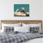 Iguana at St. Thomas キャンバスプリント (インサイチュ (寝室))