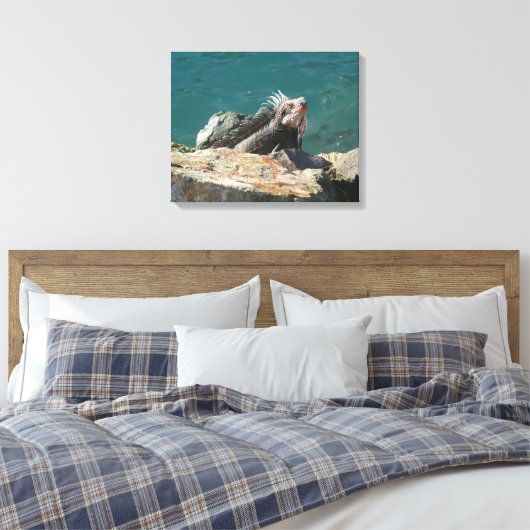 Iguana at St. Thomas キャンバスプリント (インサイチュ (寝室))