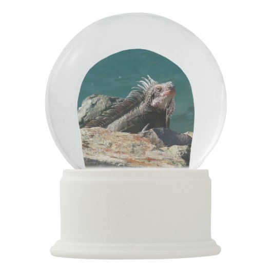 Iguana at St. Thomas スノーグローブ (裏面)