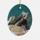 Iguana at St. Thomas セラミックオーナメント (右)
