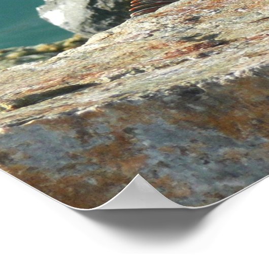 Iguana at St. Thomas ポスター (角)