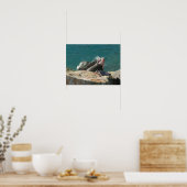 Iguana at St. Thomas ポスター (キッチン)