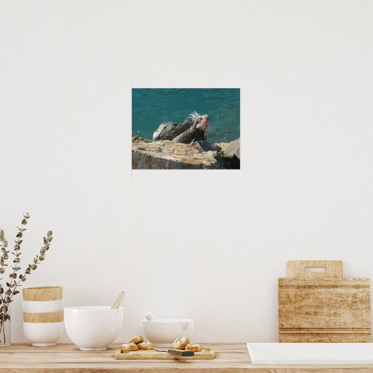 Iguana at St. Thomas ポスター (キッチン)