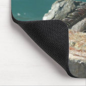 Iguana at St. Thomas マウスパッド (コーナー)