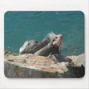 Iguana at St. Thomas マウスパッド