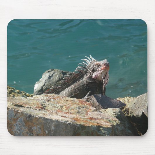 Iguana at St. Thomas マウスパッド (正面)