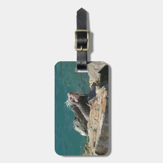 Iguana at St. Thomas ラゲッジタグ (正面縦)