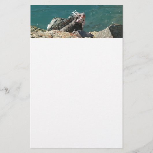 Iguana at St. Thomas 便箋 (正面)