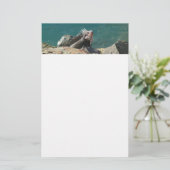 Iguana at St. Thomas 便箋 (スタンド正面)