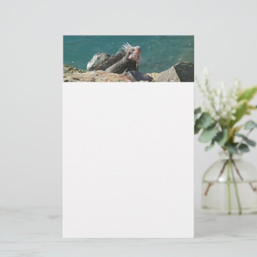 Iguana at St. Thomas 便箋 (スタンド正面)