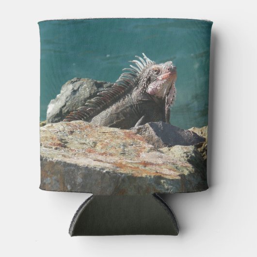Iguana at St. Thomas 缶クーラー (正面)