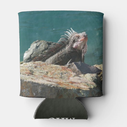 Iguana at St. Thomas 缶クーラー (裏面)