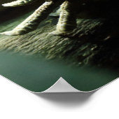 Iguana delicatissima ポスター (角)