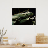 Iguana delicatissima ポスター (キッチン)