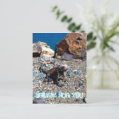 Iguana Hug Youポストカード ポストカード (スタンド正面)