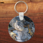 Iguana, Islas las Plazas, Galapagos キーホルダー (正面)