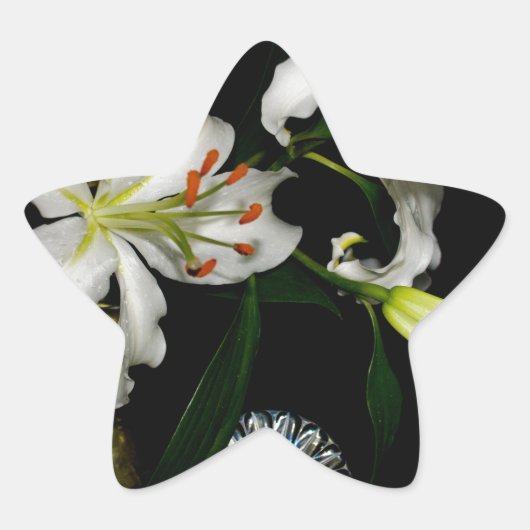 Iirshデザイン – ブラスとフラワーコレクション 星シール (正面)