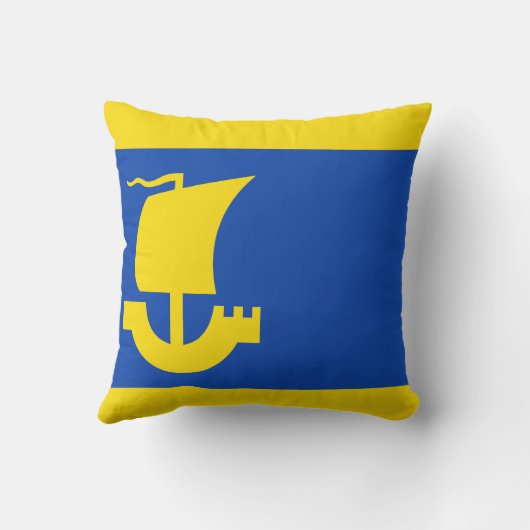 IJlst国旗 クッション (裏面)