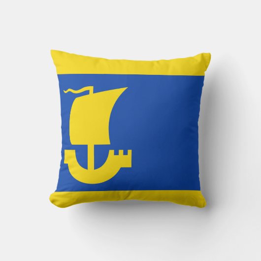 IJlst国旗 クッション (正面)