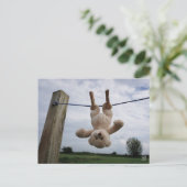 Ik ben er voor jou ポストカード (スタンド正面)