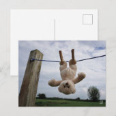 Ik ben er voor jou ポストカード (正面/裏面)